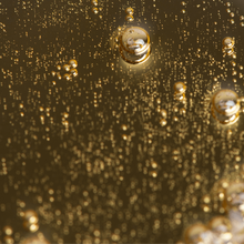 Charger l'image dans la galerie, DUO SHAMPOING + SOIN "CHEVEUX FINS" MAKADAMIA